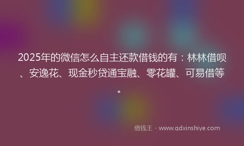 2025年的微信怎么自主还款借钱的有：林林借呗、安逸花、现金秒贷通宝融、零花罐、可易借等。