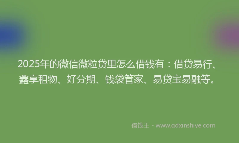 2025年的微信微粒贷里怎么借钱有：借贷易行、鑫享租物、好分期、钱袋管家、易贷宝易融等。