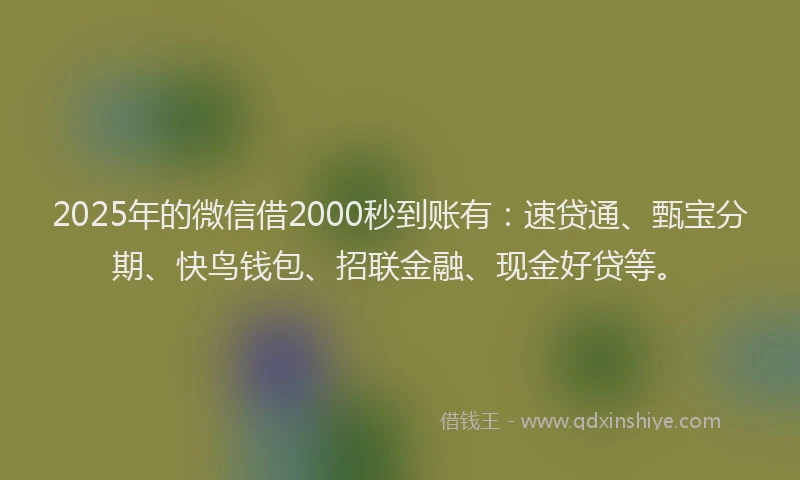 2025年的微信借2000秒到账有：速贷通、甄宝分期、快鸟钱包、招联金融、现金好贷等。