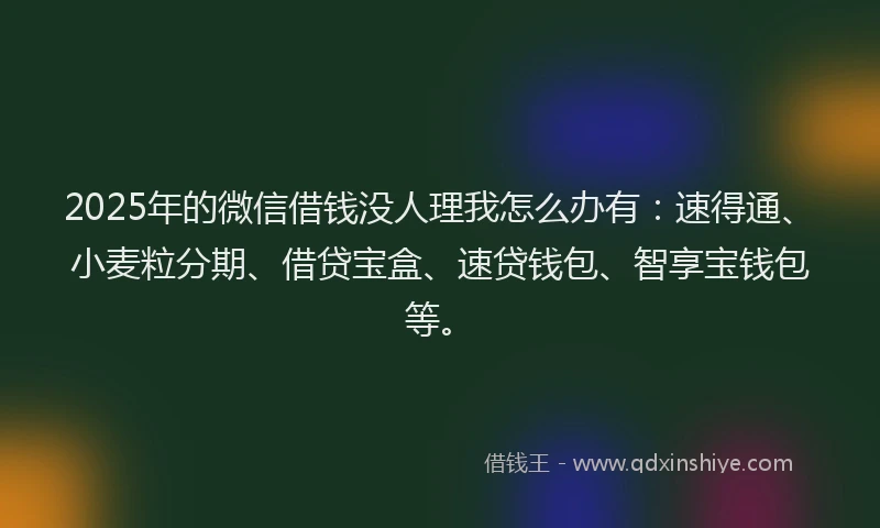 2025年的微信借钱没人理我怎么办有：速得通、小麦粒分期、借贷宝盒、速贷钱包、智享宝钱包等。