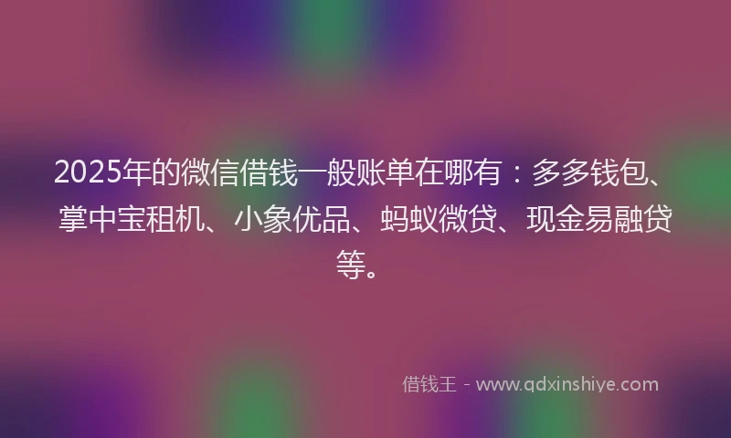 2025年的微信借钱一般账单在哪有：多多钱包、掌中宝租机、小象优品、蚂蚁微贷、现金易融贷等。