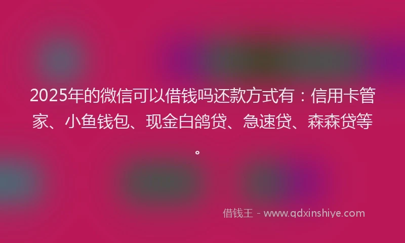2025年的微信可以借钱吗还款方式有：信用卡管家、小鱼钱包、现金白鸽贷、急速贷、森森贷等。