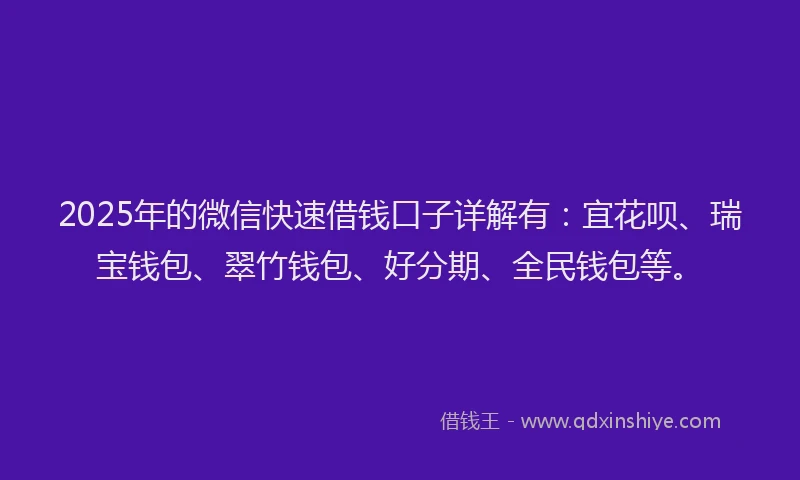 2025年的微信快速借钱口子详解有：宜花呗、瑞宝钱包、翠竹钱包、好分期、全民钱包等。