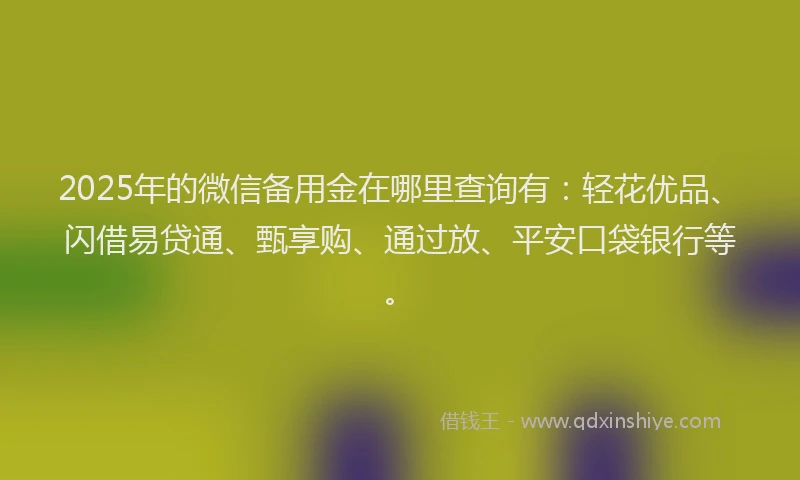 2025年的微信备用金在哪里查询有：轻花优品、闪借易贷通、甄享购、通过放、平安口袋银行等。