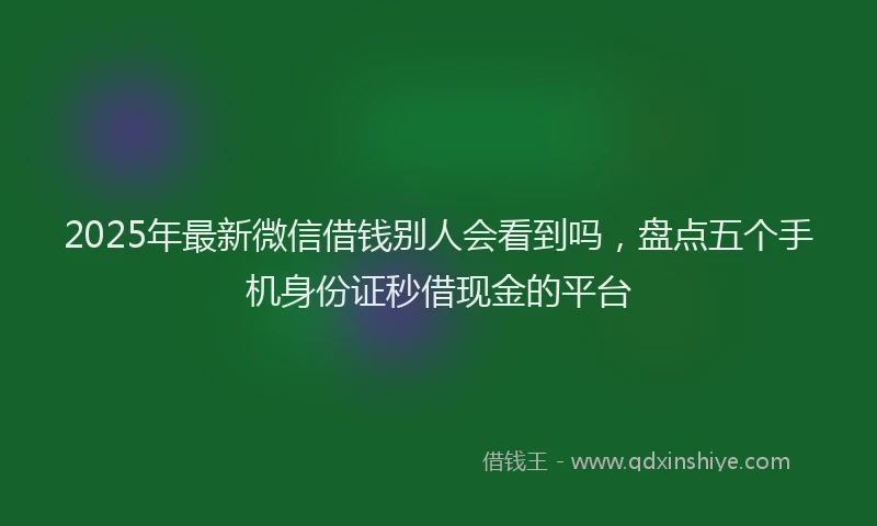 2025年最新微信借钱别人会看到吗，盘点五个手机身份证秒借现金的平台