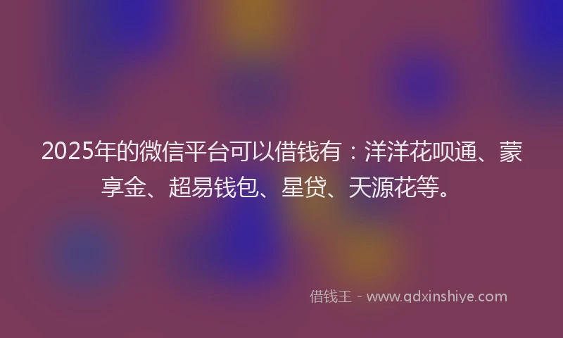 2025年的微信平台可以借钱有：洋洋花呗通、蒙享金、超易钱包、星贷、天源花等。