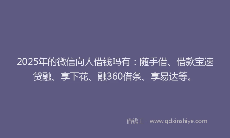 2025年的微信向人借钱吗有：随手借、借款宝速贷融、享下花、融360借条、享易达等。