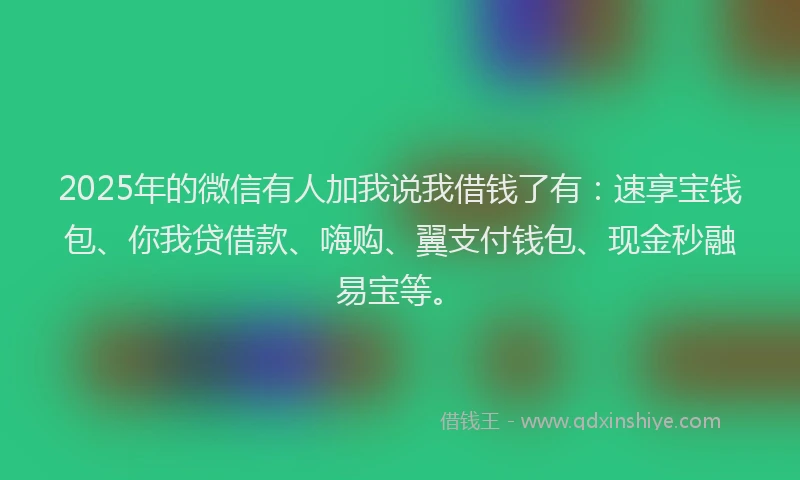 2025年的微信有人加我说我借钱了有：速享宝钱包、你我贷借款、嗨购、翼支付钱包、现金秒融易宝等。