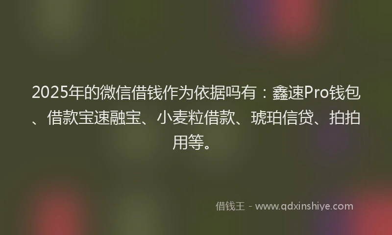 2025年的微信借钱作为依据吗有：鑫速Pro钱包、借款宝速融宝、小麦粒借款、琥珀信贷、拍拍用等。