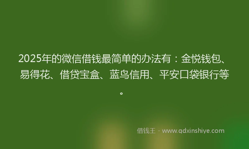 2025年的微信借钱最简单的办法有：金悦钱包、易得花、借贷宝盒、蓝鸟信用、平安口袋银行等。