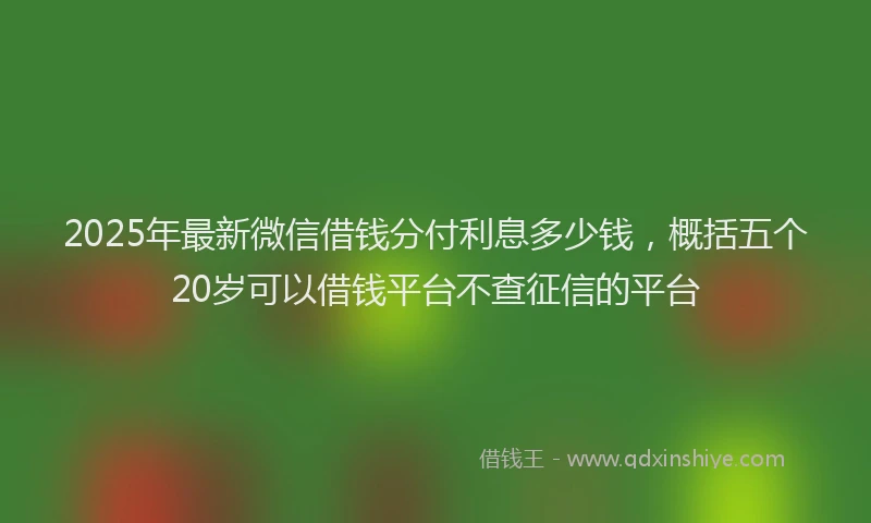 2025年最新微信借钱分付利息多少钱，概括五个20岁可以借钱平台不查征信的平台