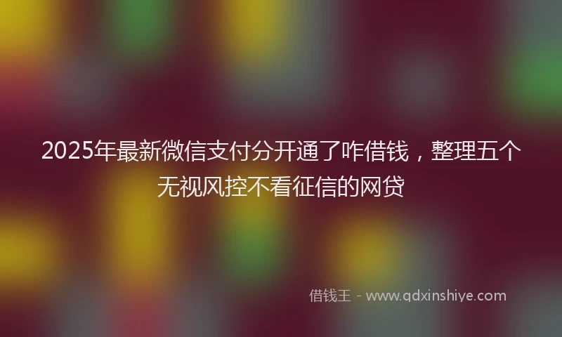 2025年最新微信支付分开通了咋借钱，整理五个无视风控不看征信的网贷