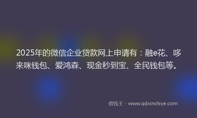 2025年的微信企业贷款网上申请有：融e花、哆来咪钱包、爱鸿森、现金秒到宝、全民钱包等。