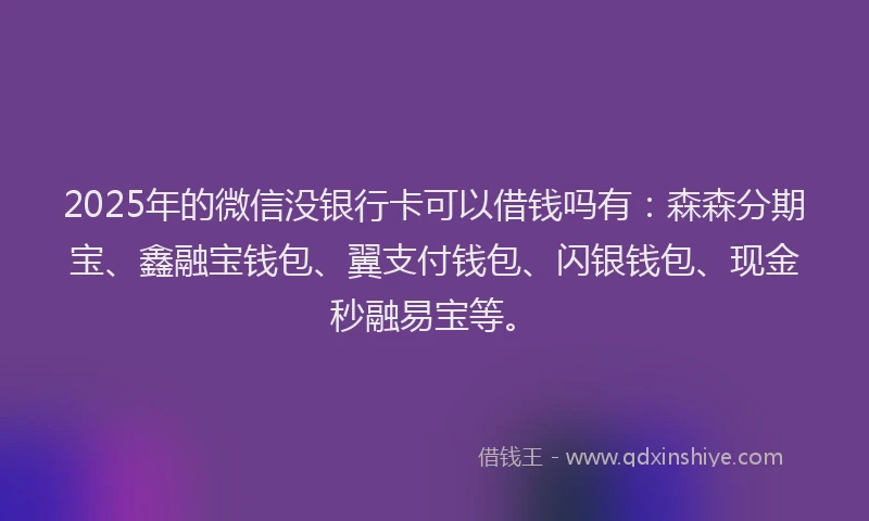 2025年的微信没银行卡可以借钱吗有：森森分期宝、鑫融宝钱包、翼支付钱包、闪银钱包、现金秒融易宝等。