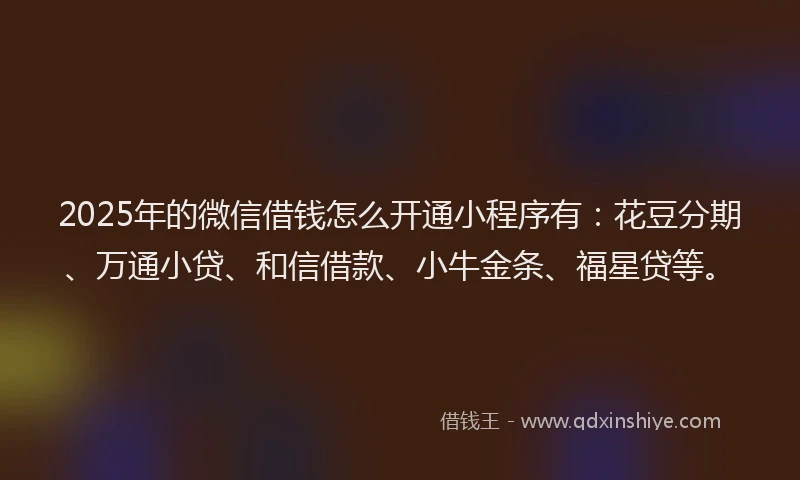 2025年的微信借钱怎么开通小程序有：花豆分期、万通小贷、和信借款、小牛金条、福星贷等。