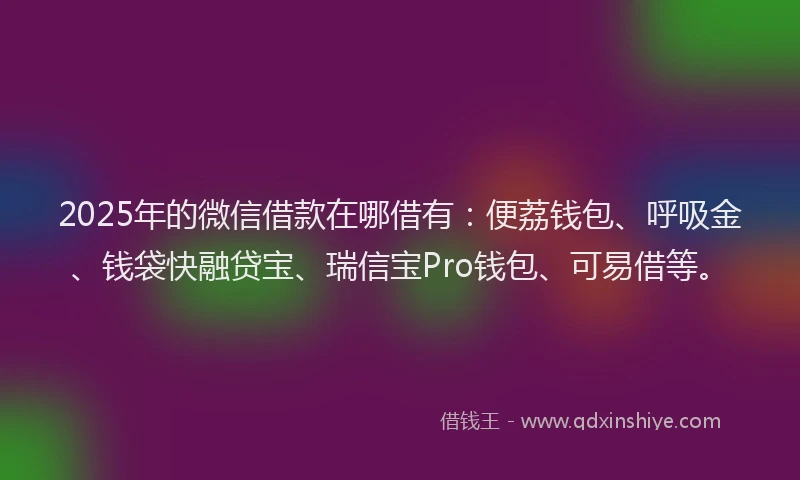 2025年的微信借款在哪借有：便荔钱包、呼吸金、钱袋快融贷宝、瑞信宝Pro钱包、可易借等。