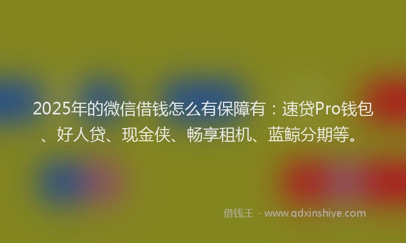 2025年的微信借钱怎么有保障有：速贷Pro钱包、好人贷、现金侠、畅享租机、蓝鲸分期等。