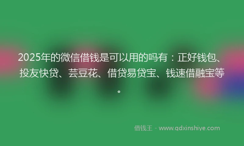 2025年的微信借钱是可以用的吗有：正好钱包、投友快贷、芸豆花、借贷易贷宝、钱速借融宝等。