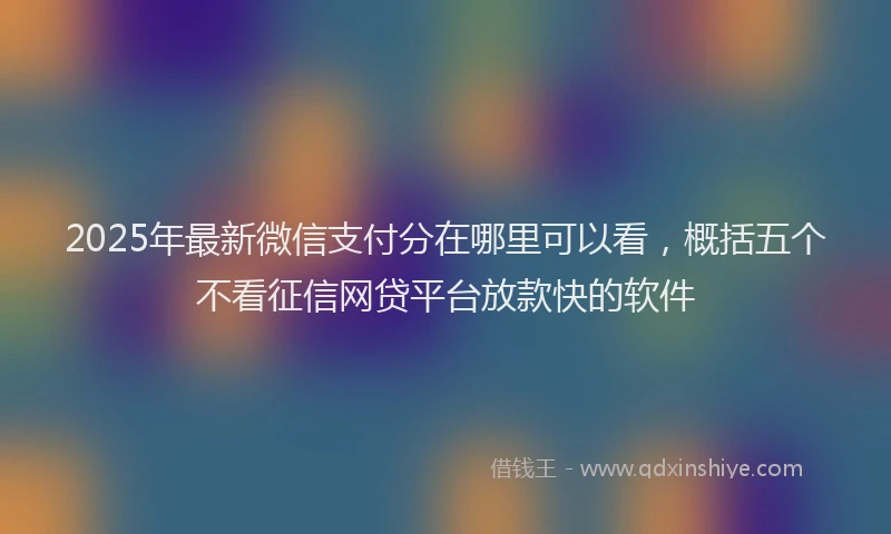 2025年最新微信支付分在哪里可以看，概括五个不看征信网贷平台放款快的软件