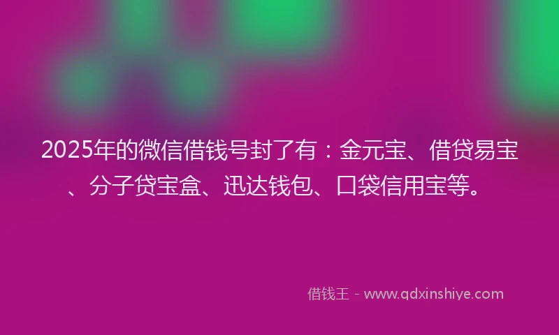 2025年的微信借钱号封了有：金元宝、借贷易宝、分子贷宝盒、迅达钱包、口袋信用宝等。