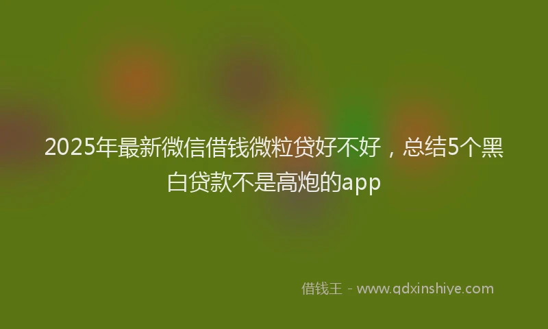 2025年最新微信借钱微粒贷好不好，总结5个黑白贷款不是高炮的app
