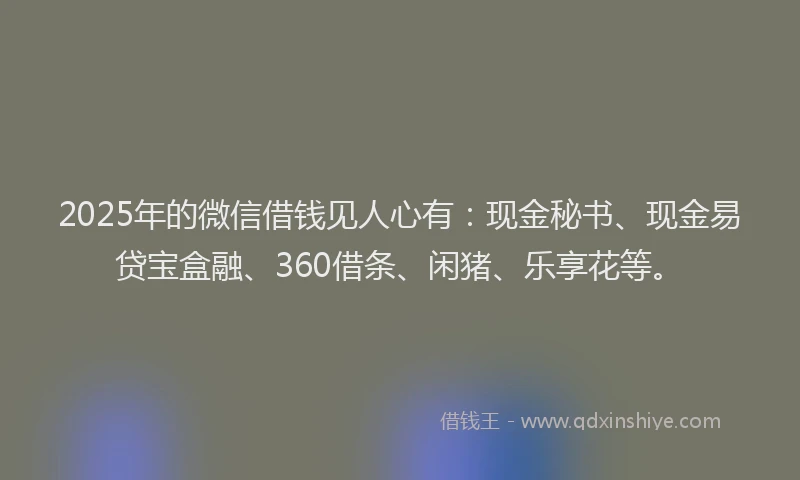 2025年的微信借钱见人心有：现金秘书、现金易贷宝盒融、360借条、闲猪、乐享花等。