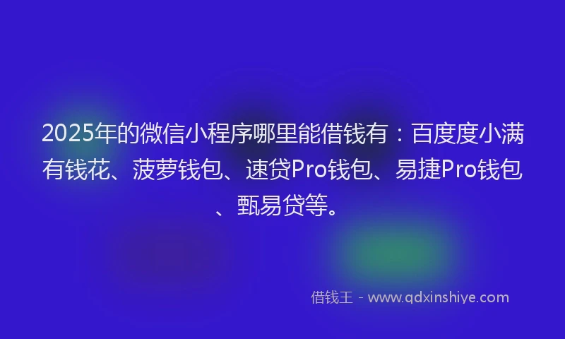 2025年的微信小程序哪里能借钱有：百度度小满有钱花、菠萝钱包、速贷Pro钱包、易捷Pro钱包、甄易贷等。