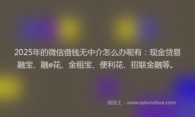 2025年的微信借钱无中介怎么办呢有：现金贷易融宝、融e花、金租宝、便利花、招联金融等。