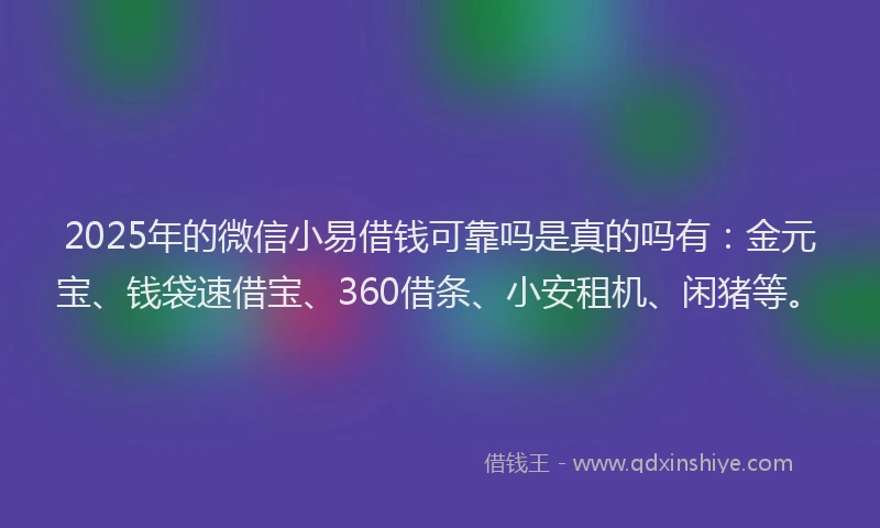 2025年的微信小易借钱可靠吗是真的吗有：金元宝、钱袋速借宝、360借条、小安租机、闲猪等。