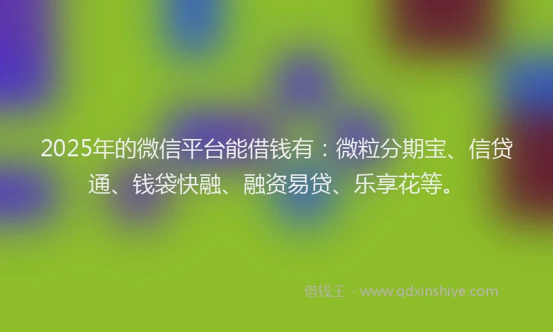 2025年的微信平台能借钱有：微粒分期宝、信贷通、钱袋快融、融资易贷、乐享花等。