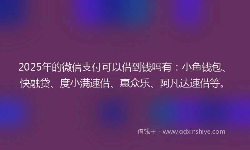 2025年的微信支付可以借到钱吗有：小鱼钱包、快融贷、度小满速借、惠众乐、阿凡达速借等。