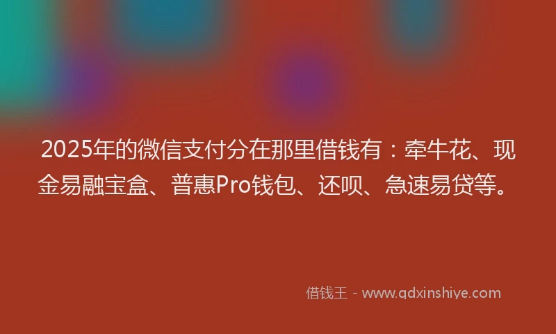 2025年的微信支付分在那里借钱有：牵牛花、现金易融宝盒、普惠Pro钱包、还呗、急速易贷等。