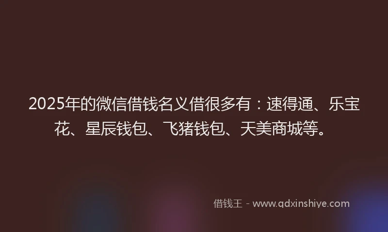 2025年的微信借钱名义借很多有：速得通、乐宝花、星辰钱包、飞猪钱包、天美商城等。