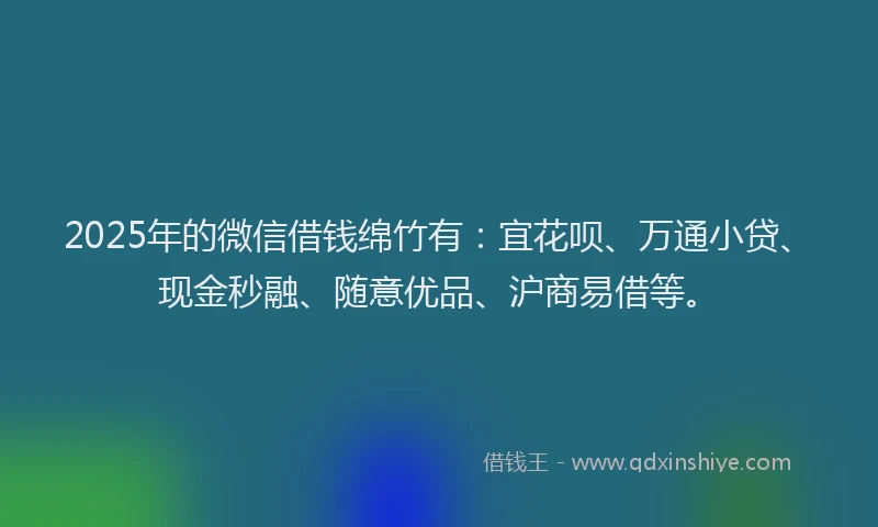 2025年的微信借钱绵竹有：宜花呗、万通小贷、现金秒融、随意优品、沪商易借等。