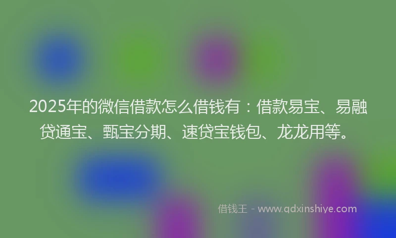 2025年的微信借款怎么借钱有：借款易宝、易融贷通宝、甄宝分期、速贷宝钱包、龙龙用等。