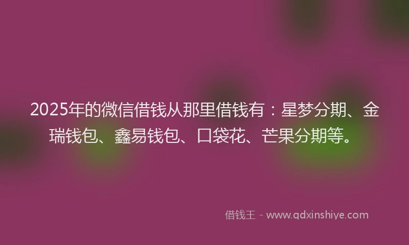 2025年的微信借钱从那里借钱有：星梦分期、金瑞钱包、鑫易钱包、口袋花、芒果分期等。