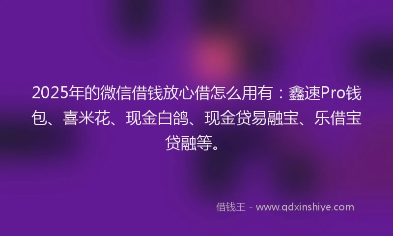 2025年的微信借钱放心借怎么用有：鑫速Pro钱包、喜米花、现金白鸽、现金贷易融宝、乐借宝贷融等。
