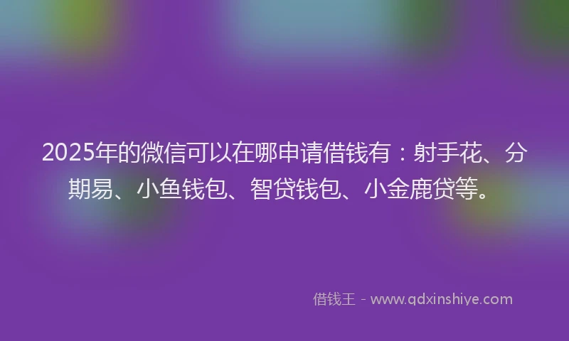 2025年的微信可以在哪申请借钱有：射手花、分期易、小鱼钱包、智贷钱包、小金鹿贷等。