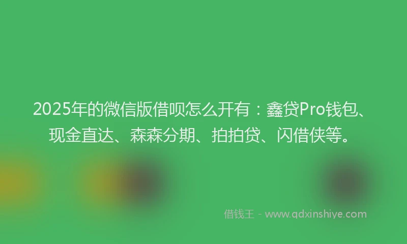 2025年的微信版借呗怎么开有：鑫贷Pro钱包、现金直达、森森分期、拍拍贷、闪借侠等。