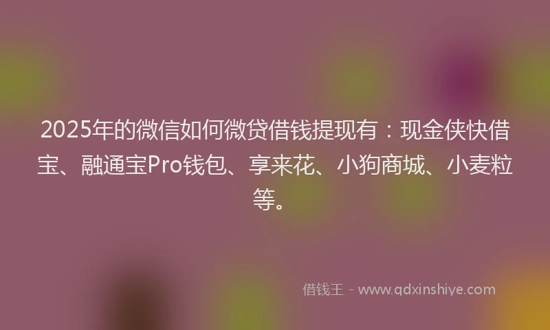 2025年的微信如何微贷借钱提现有：现金侠快借宝、融通宝Pro钱包、享来花、小狗商城、小麦粒等。