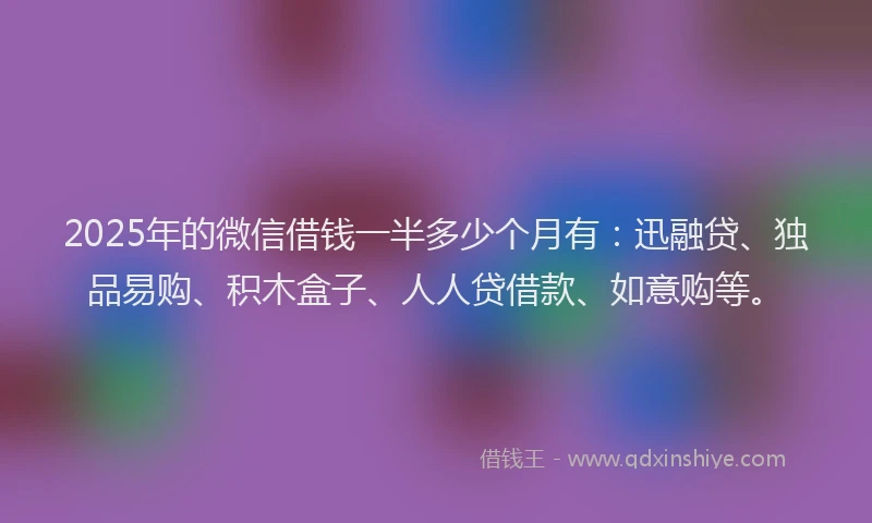 2025年的微信借钱一半多少个月有：迅融贷、独品易购、积木盒子、人人贷借款、如意购等。
