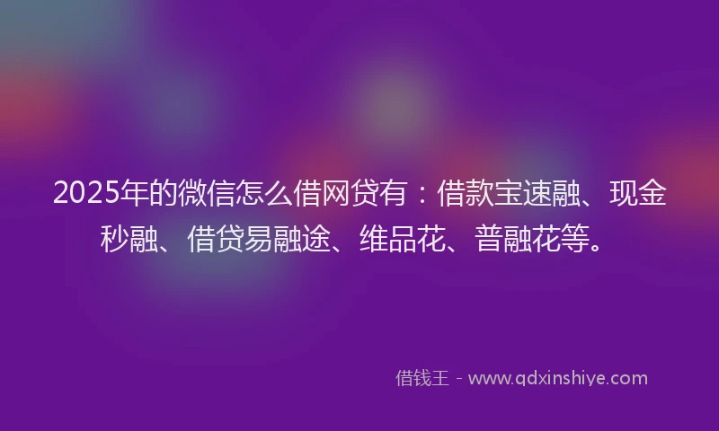 2025年的微信怎么借网贷有：借款宝速融、现金秒融、借贷易融途、维品花、普融花等。