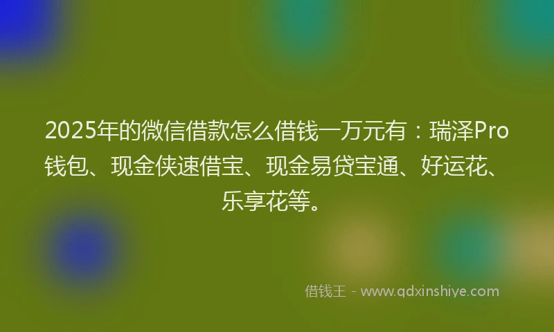 2025年的微信借款怎么借钱一万元有：瑞泽Pro钱包、现金侠速借宝、现金易贷宝通、好运花、乐享花等。