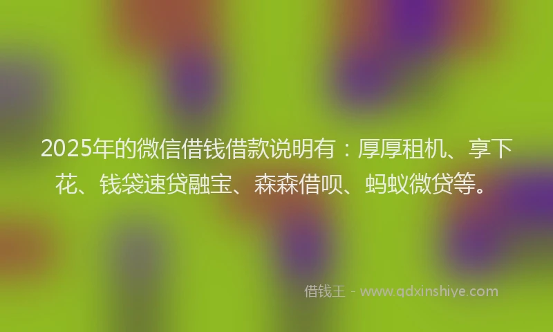 2025年的微信借钱借款说明有：厚厚租机、享下花、钱袋速贷融宝、森森借呗、蚂蚁微贷等。