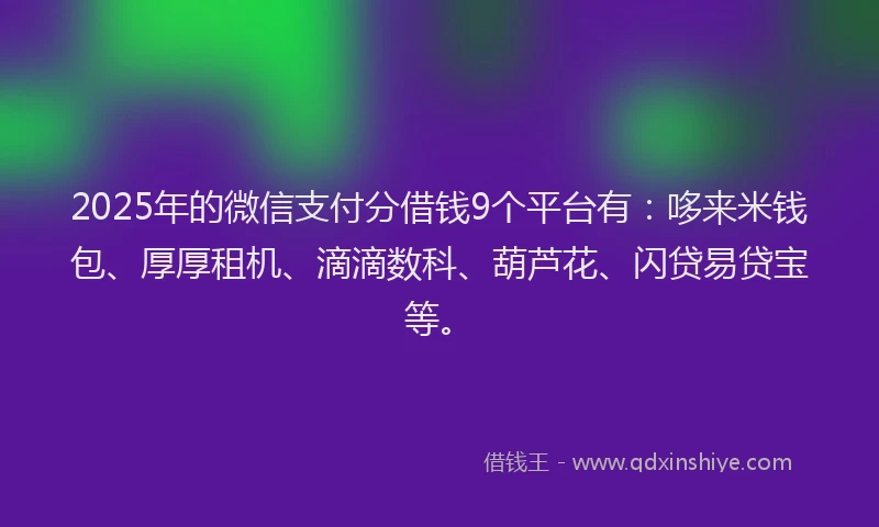 2025年的微信支付分借钱9个平台有：哆来米钱包、厚厚租机、滴滴数科、葫芦花、闪贷易贷宝等。