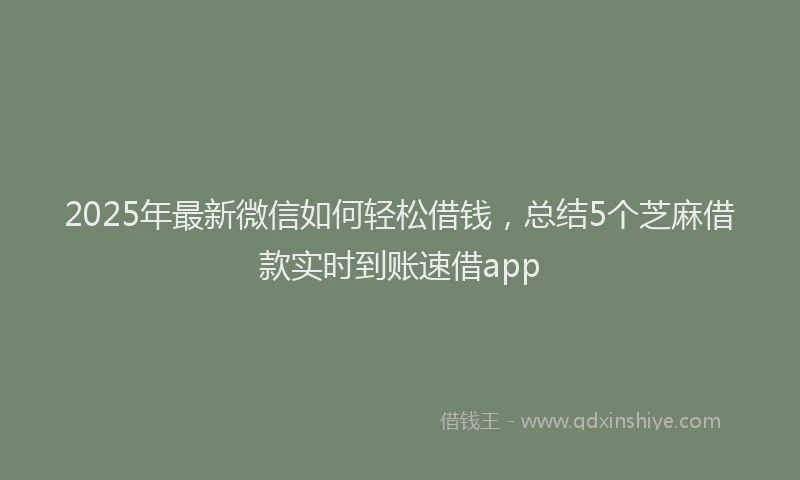 2025年最新微信如何轻松借钱，总结5个芝麻借款实时到账速借app