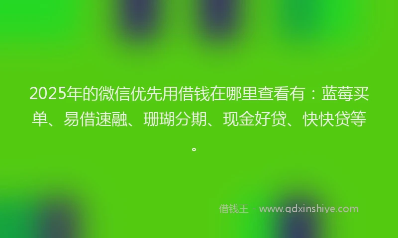 2025年的微信优先用借钱在哪里查看有：蓝莓买单、易借速融、珊瑚分期、现金好贷、快快贷等。