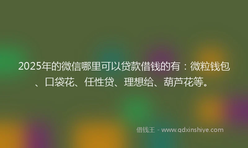 2025年的微信哪里可以贷款借钱的有：微粒钱包、口袋花、任性贷、理想给、葫芦花等。