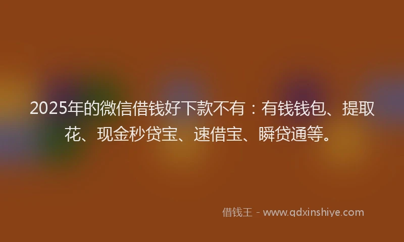 2025年的微信借钱好下款不有：有钱钱包、提取花、现金秒贷宝、速借宝、瞬贷通等。