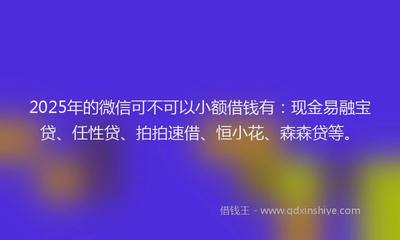 2025年的微信可不可以小额借钱有：现金易融宝贷、任性贷、拍拍速借、恒小花、森森贷等。